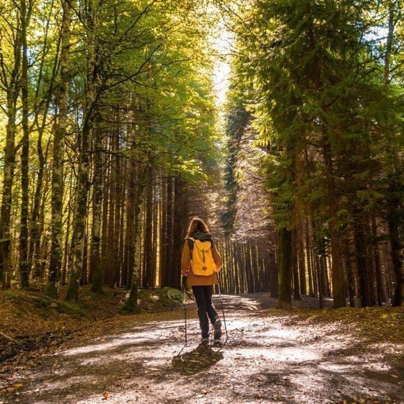 Hiking