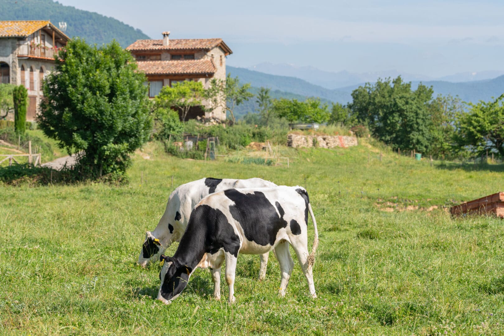 La Vall d’en Bas