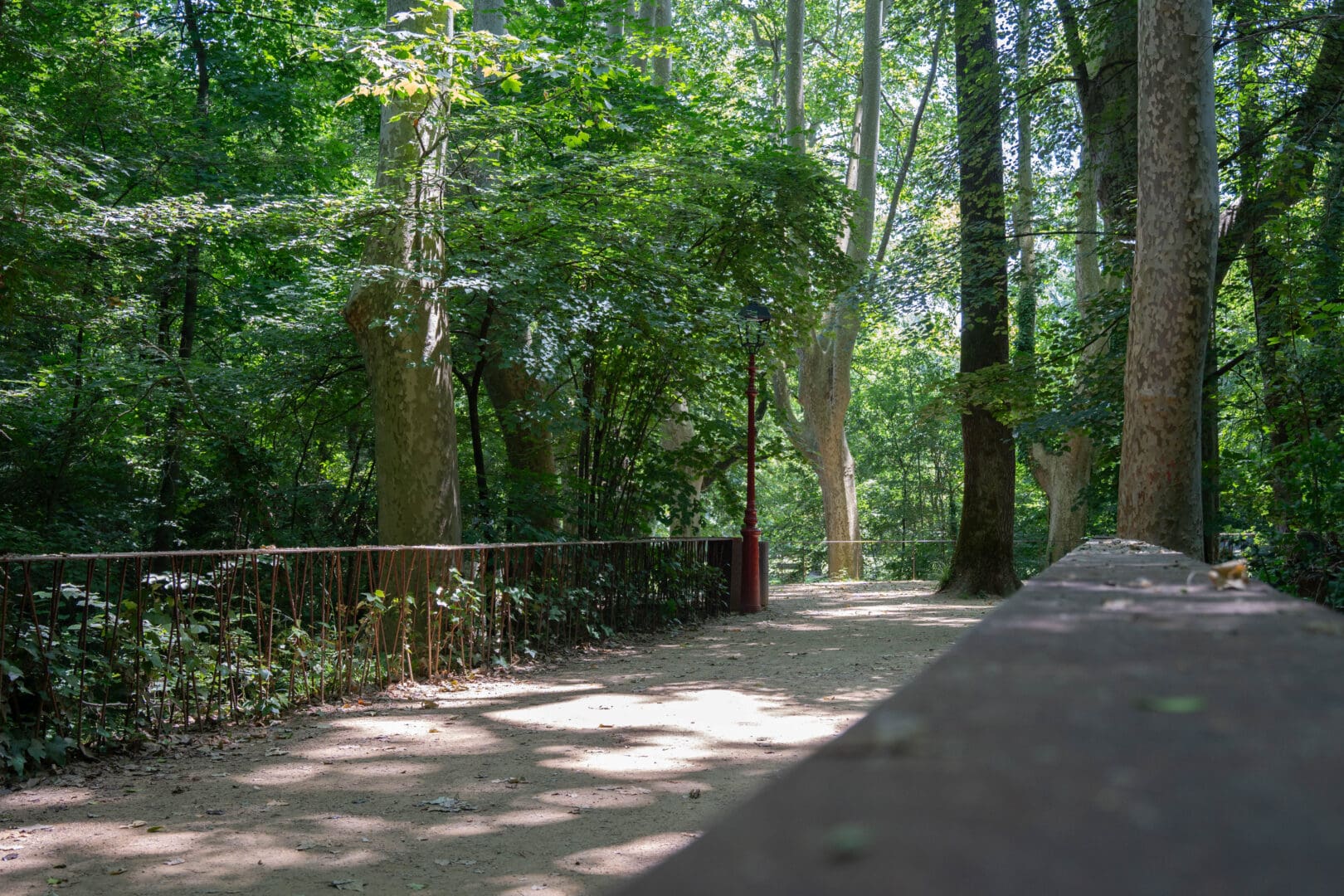 13. El Parc Nou