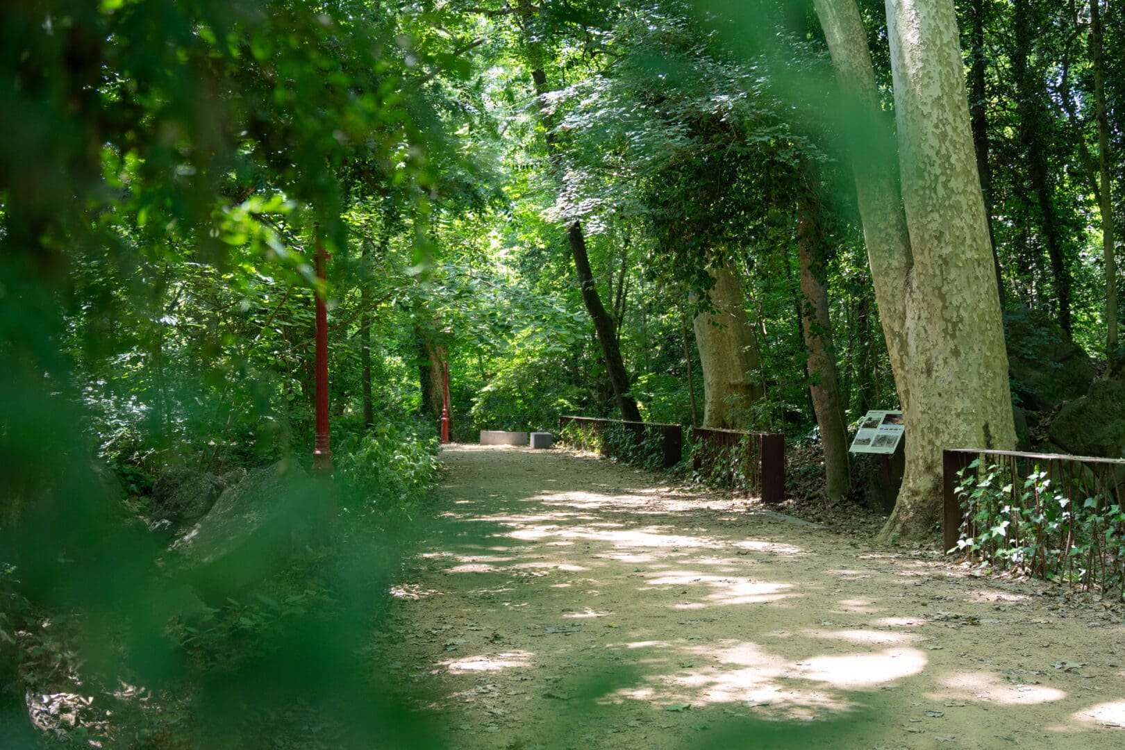 13. El Parc Nou