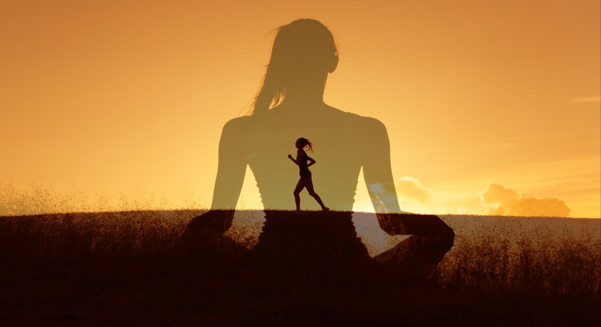Health and wellness