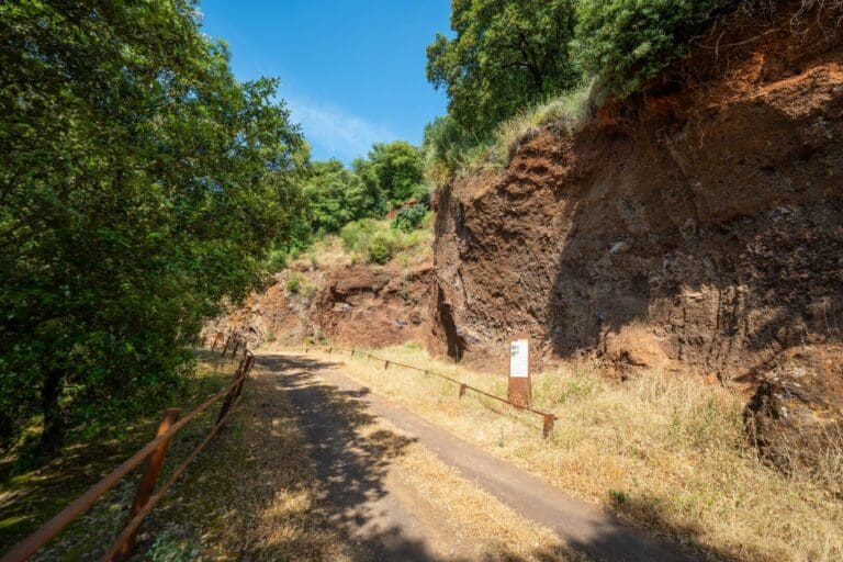 26. Volcans de Sant Marc i Puig Roig