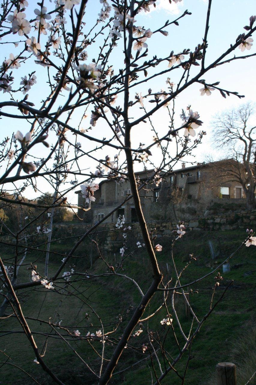 Restaurant Mas el Siubès