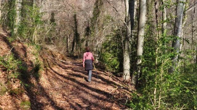 De Sant Pere Despuig au pont de la Rovira en passant par le molí d'en Solà. Route 3 Vall dels sentits