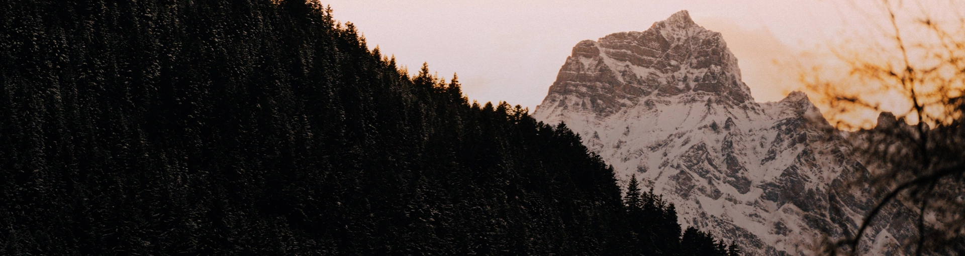 Banner Discover