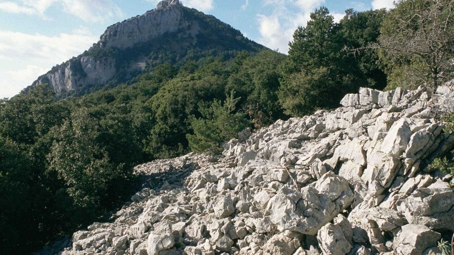 L’Alta Garrotxa de Vayreda. Ruta 8 Garrotxa