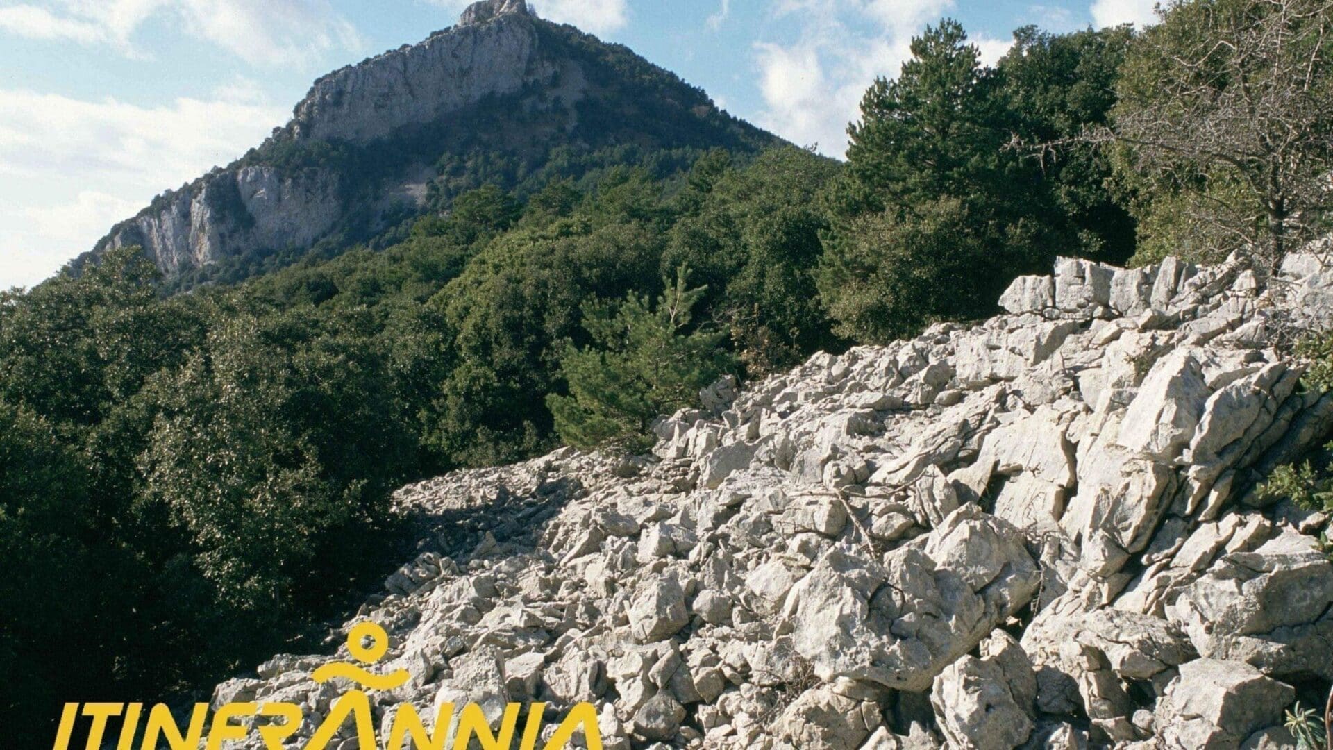 L’Alta Garrotxa de Vayreda. Ruta 8 Garrotxa