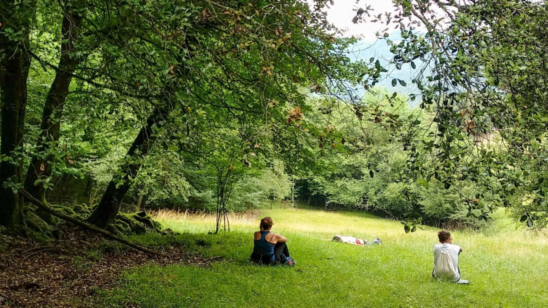 Bany de bosc a l'Alta Garrotxa