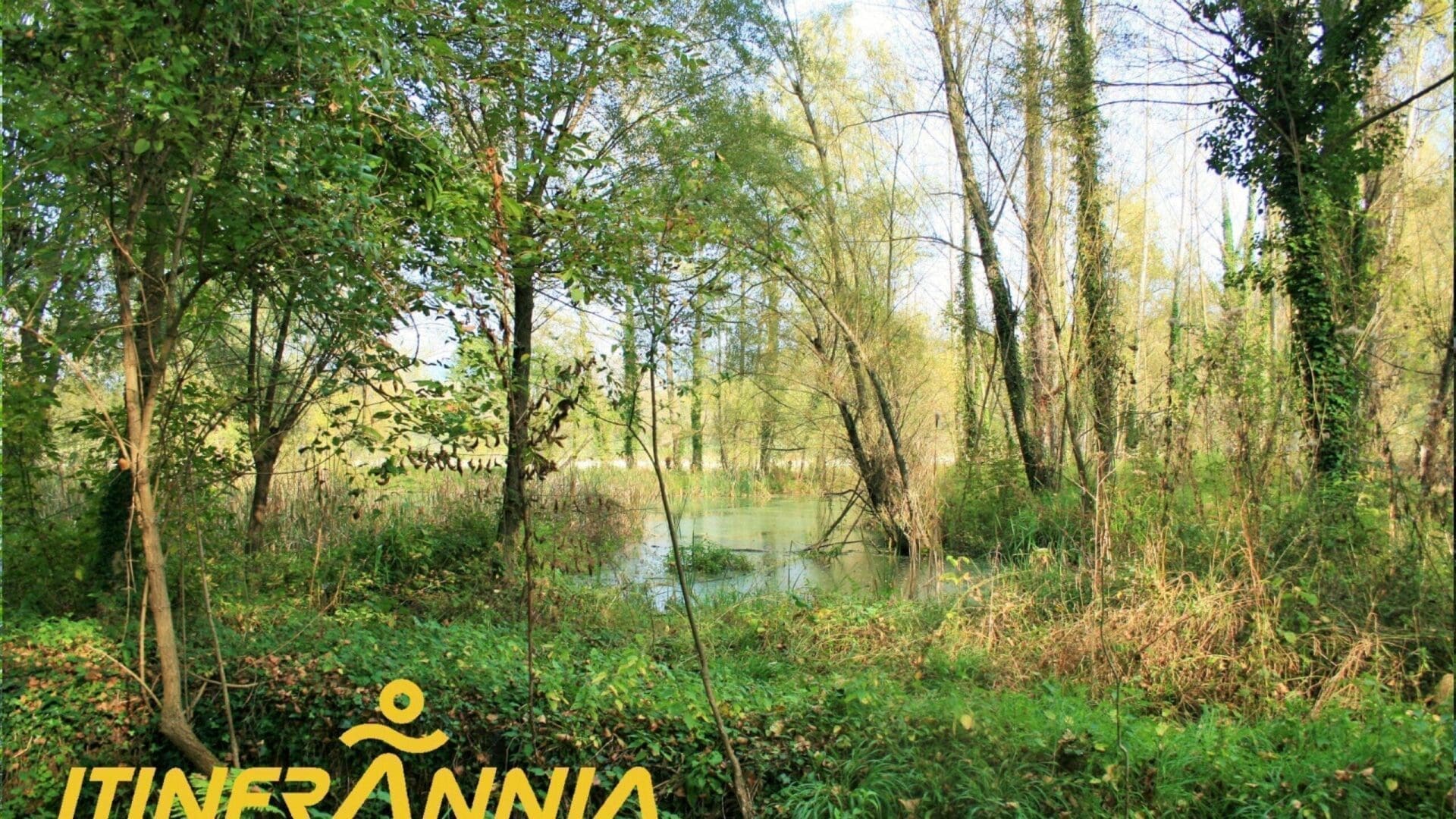 Itinerari Cursa de la Moixina. Ruta 6 Olot