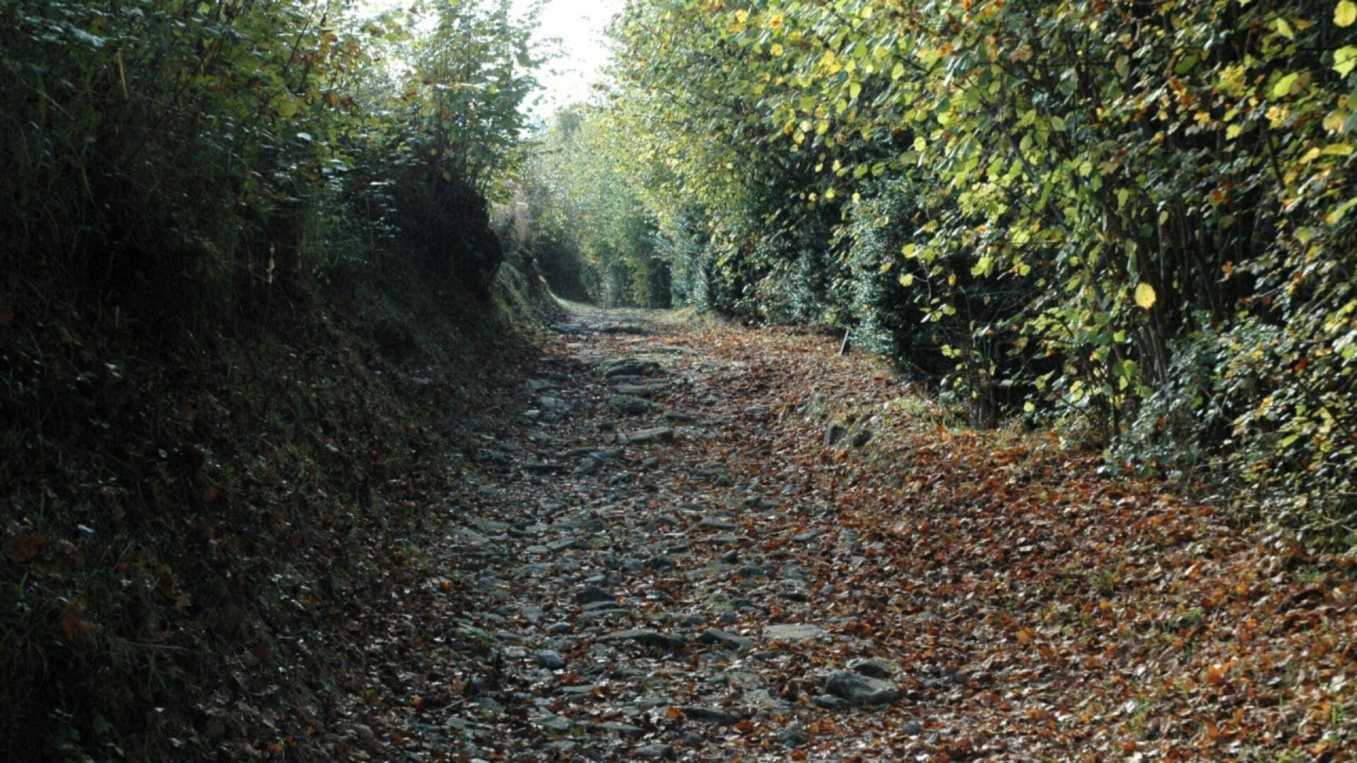 Via romana de Capsacosta des de St Salvador de Bianya o pas dels Traginers. Ruta 1 Vall dels Sentits