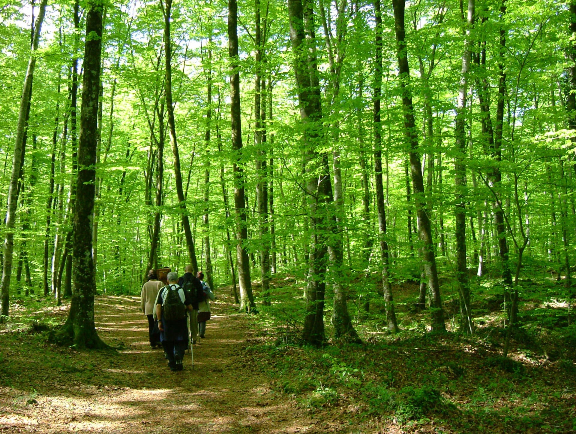 La Fageda en Ruta