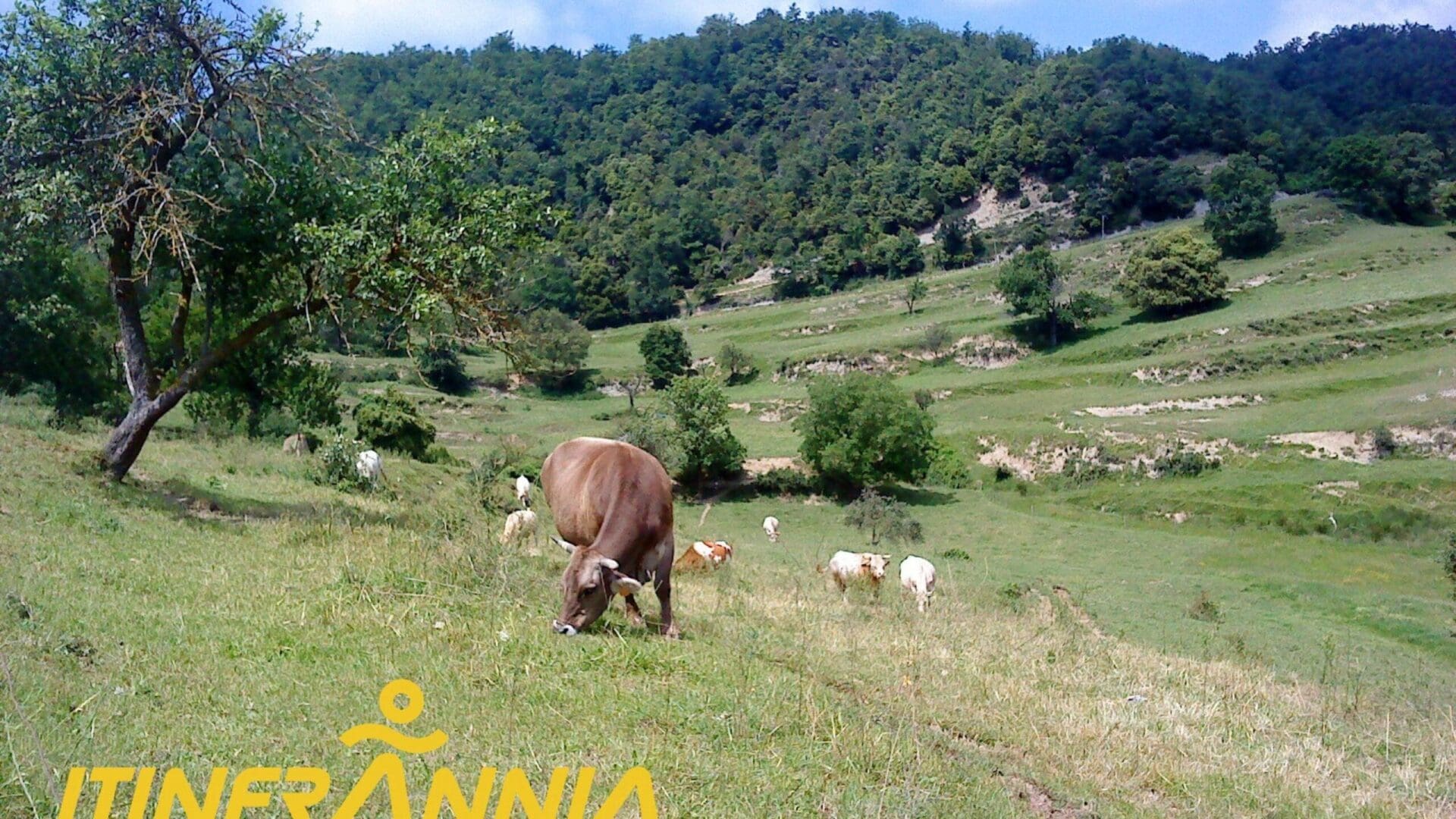 Por la meseta del Collsacabra. Ruta 4 Garrotxa