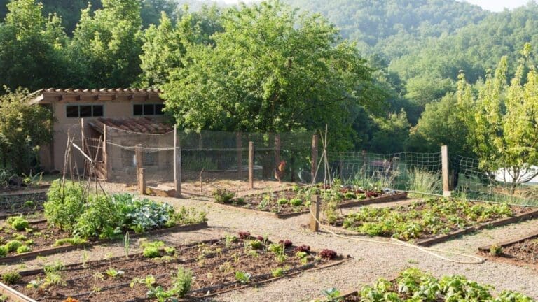 Taller d'horticultura a Mas Garganta