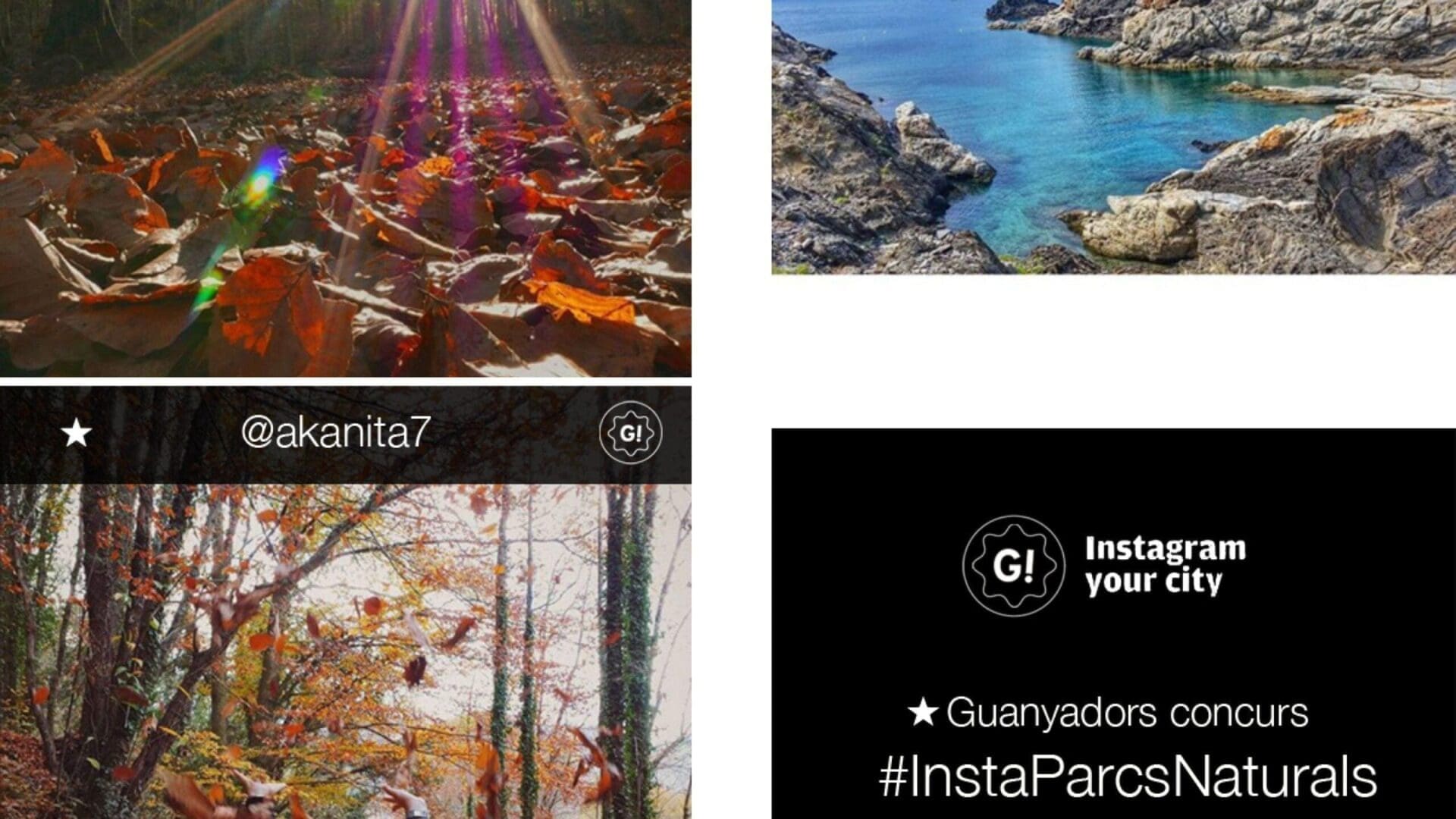 Ja tenim les 3 fotografies guanyadores de #InstaParcsNaturals!