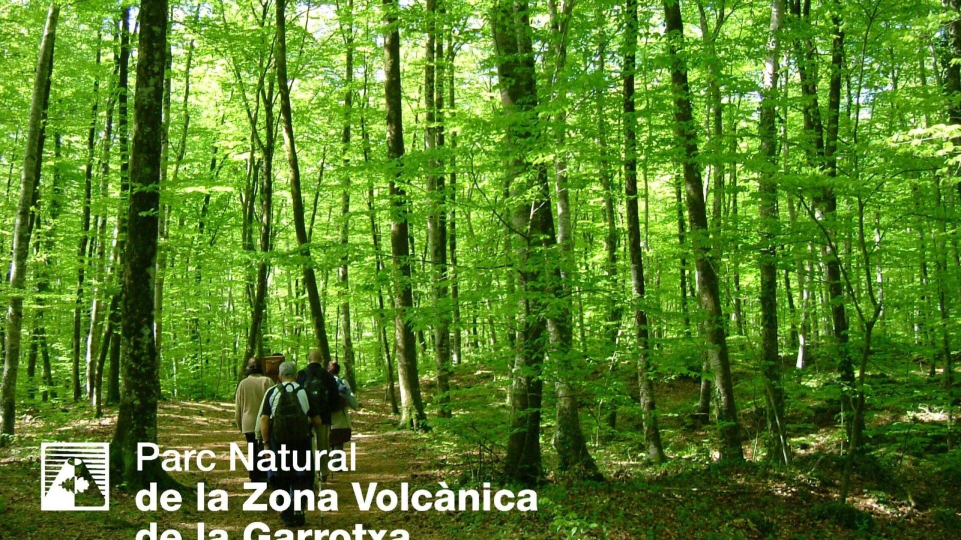 Sender Joan Maragall – La Fageda d’en Jordà. Itinerari 2 Parc Natural