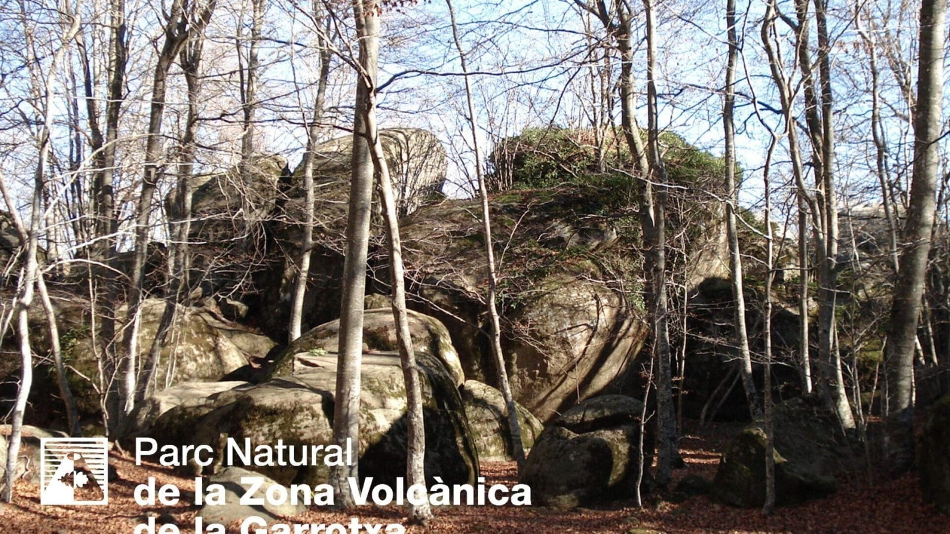Sant Feliu de Pallerols – Coll de Condreu. Itinerari 20 Parc Natural