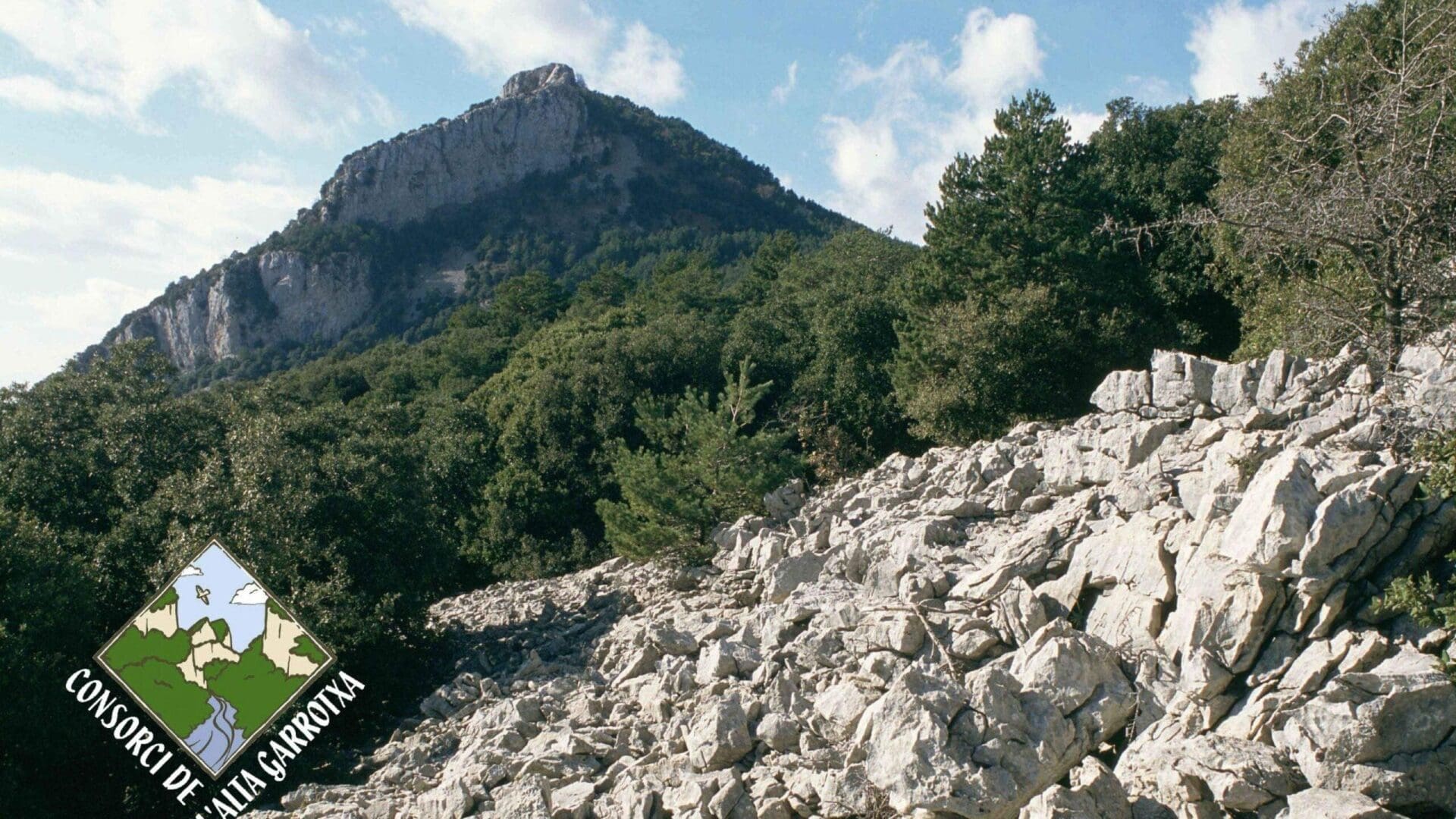 Sadernes – Puig de Bassegoda. Itinerari 5 Consorci Alta Garrotxa