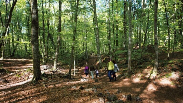 Olot - Santa Pau. Itinerari 3 Parc Natural
