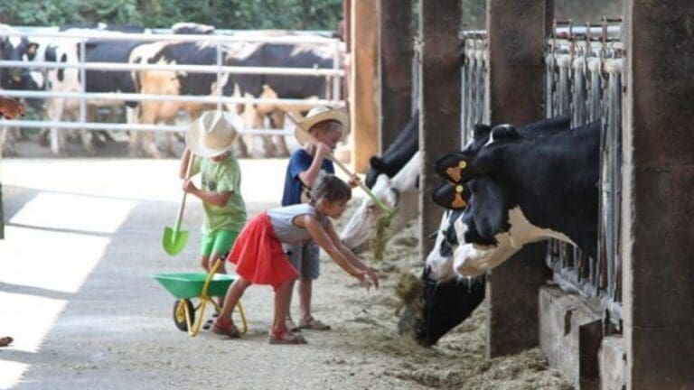 Little farmers