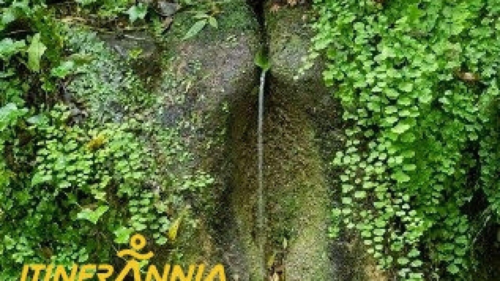 Ruta dels carboners. Ruta 2 Mieres
