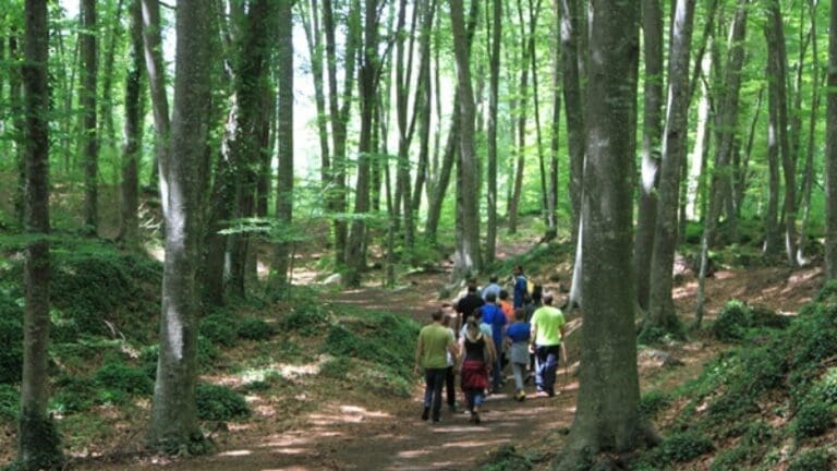 Fageda en Ruta