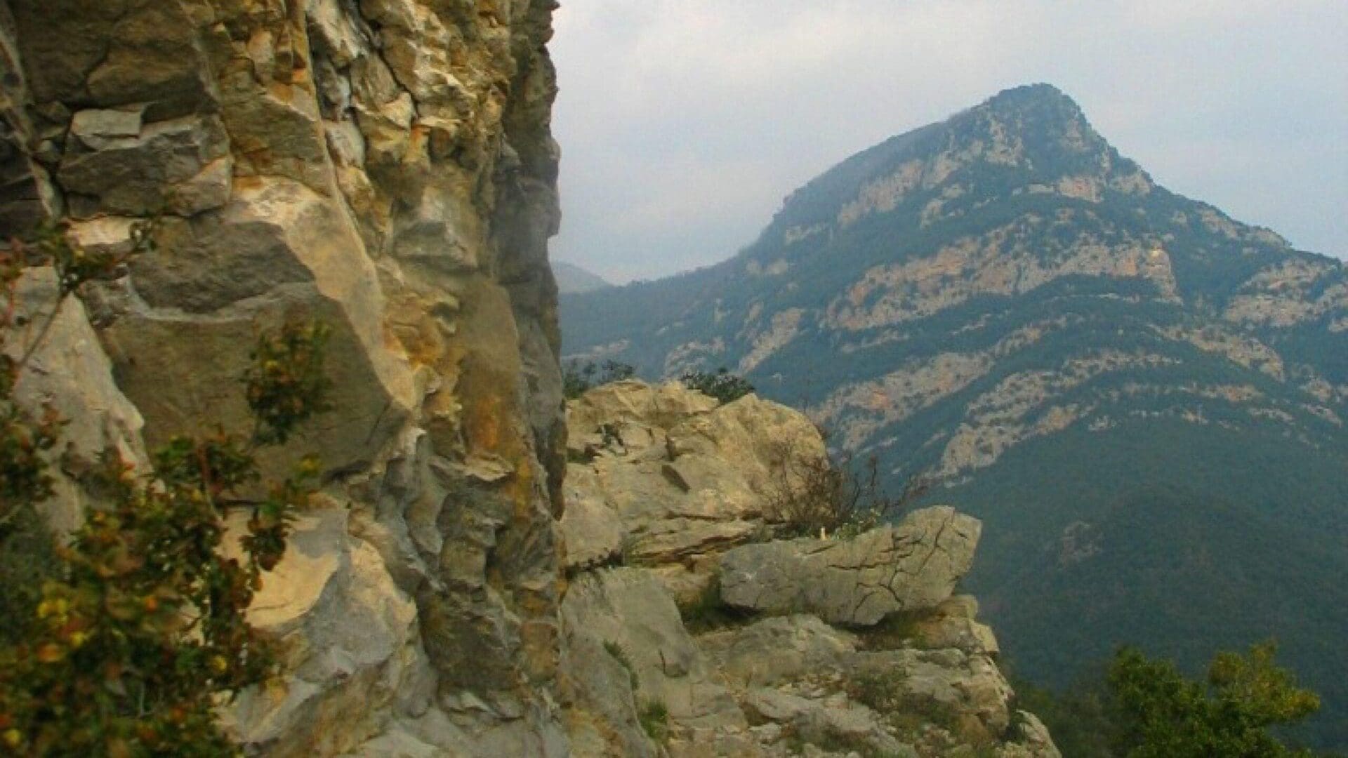 L’Alta Garrotxa de Vayreda. Ruta 8 Garrotxa