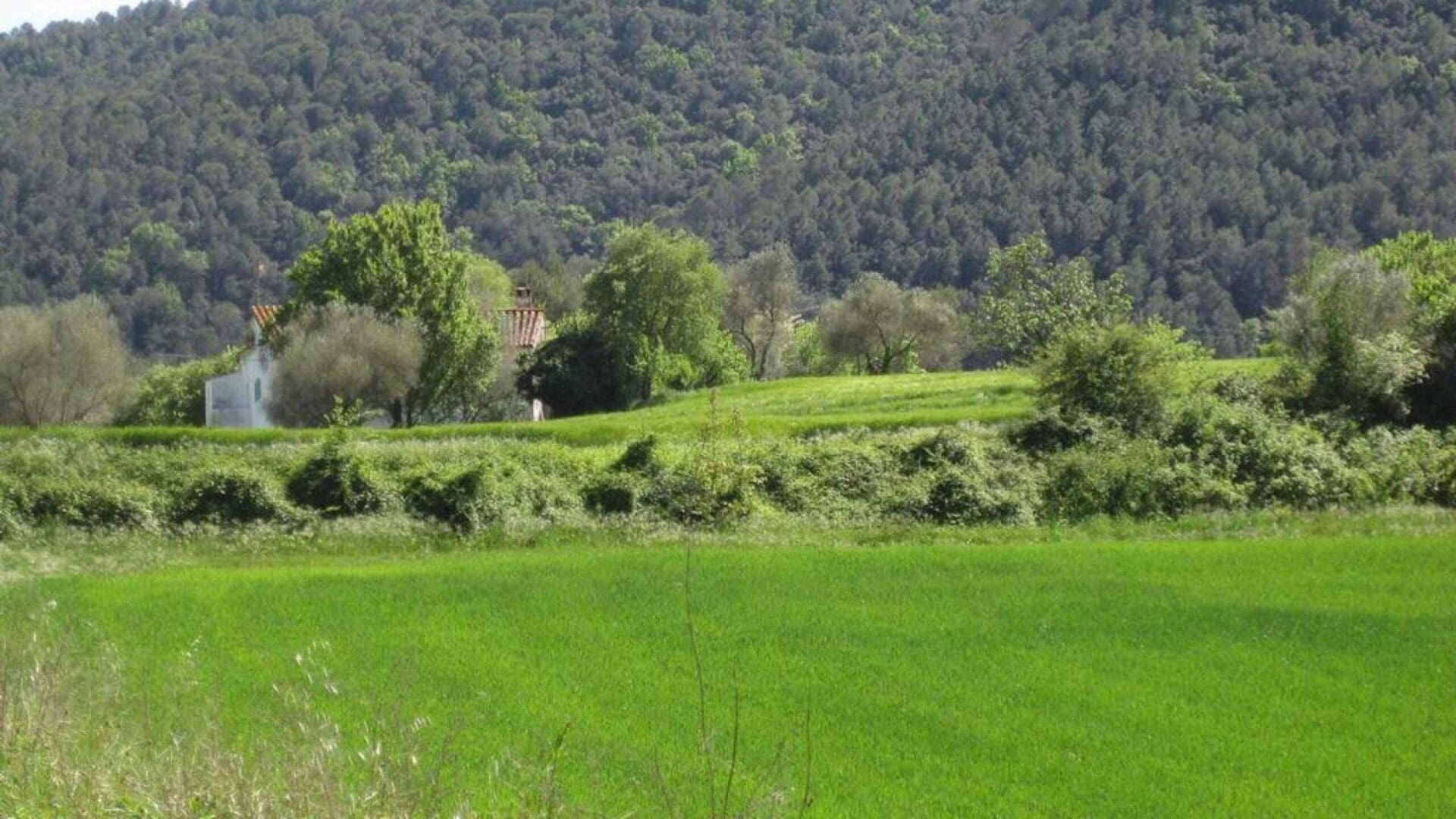 Itinerari saludable Sant Ferriol curt
