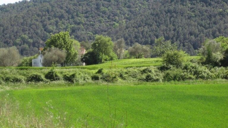 Itinerari saludable Sant Ferriol curt