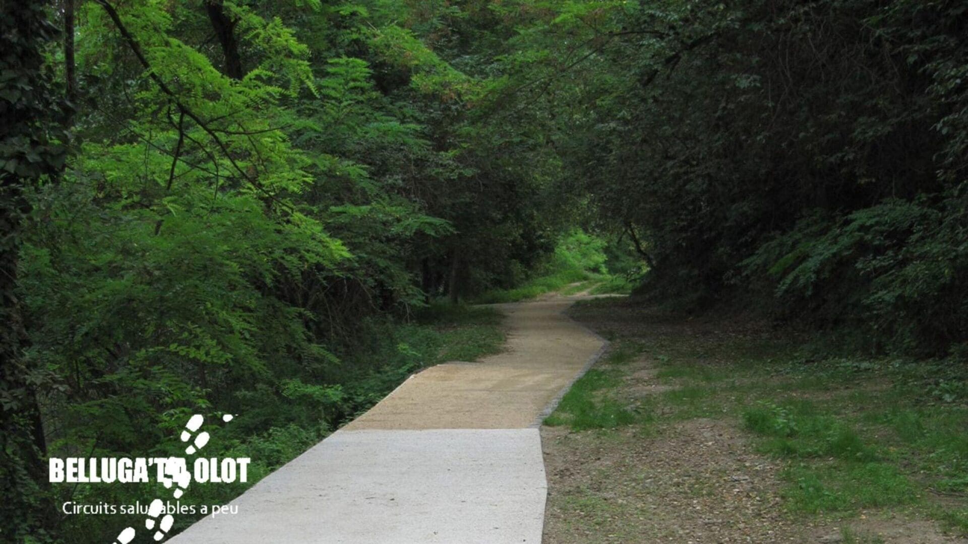 Sant Miquel. Circuit 13 Belluga’t a Olot