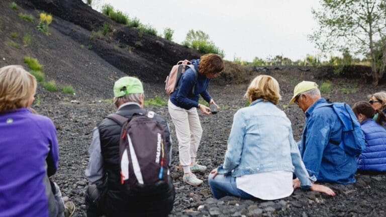 Volcans i colades de lava