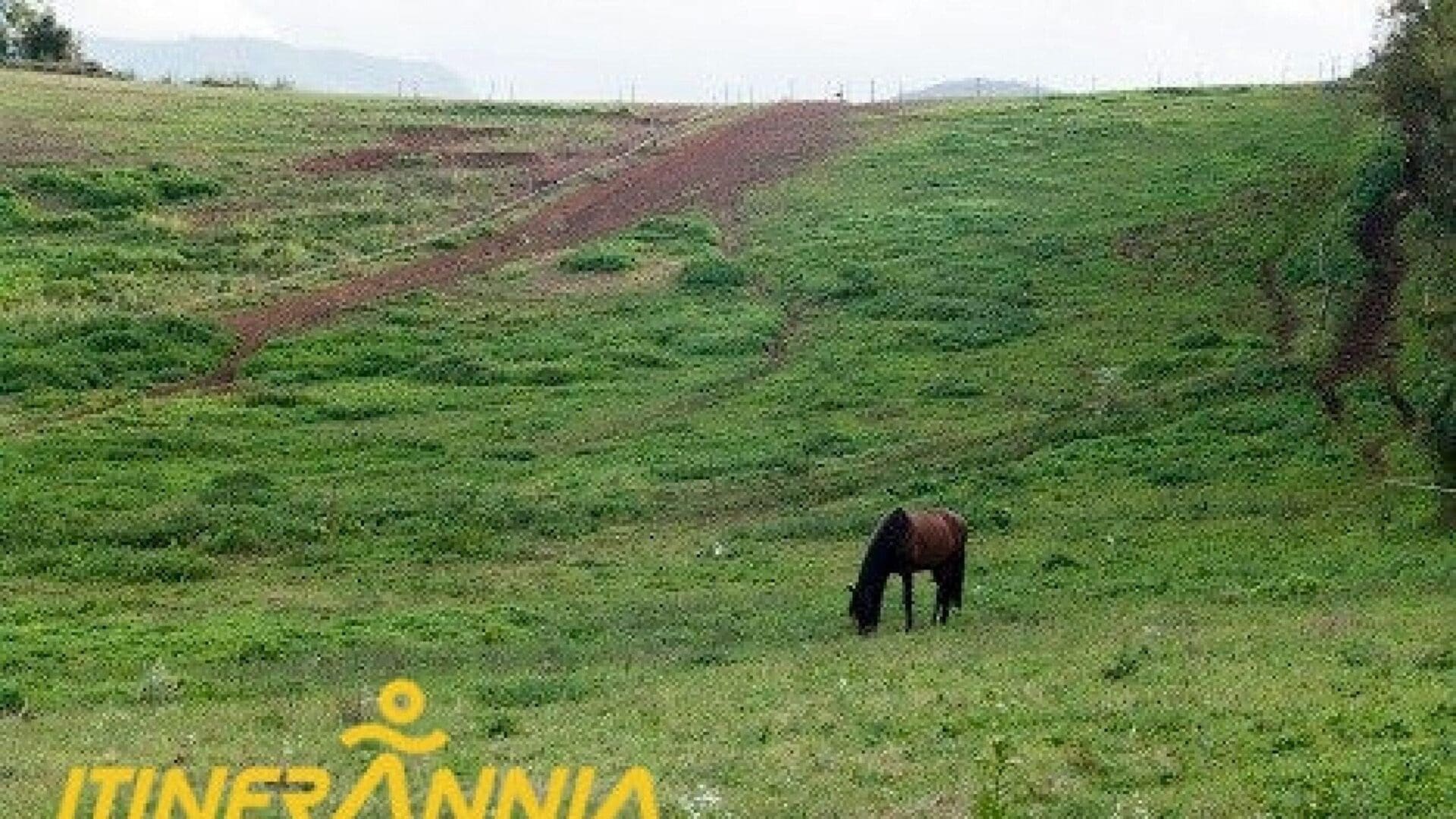 Ruta Xenacs pel volcà Racó i mirador de puig Rodó. Ruta 1 Les Preses