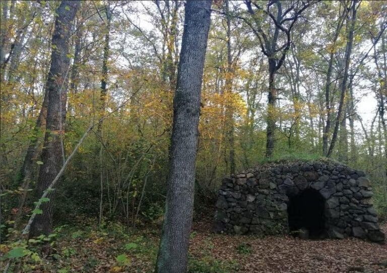 Itinerari del Bosc de Can Serra. Ruta 6 les Preses