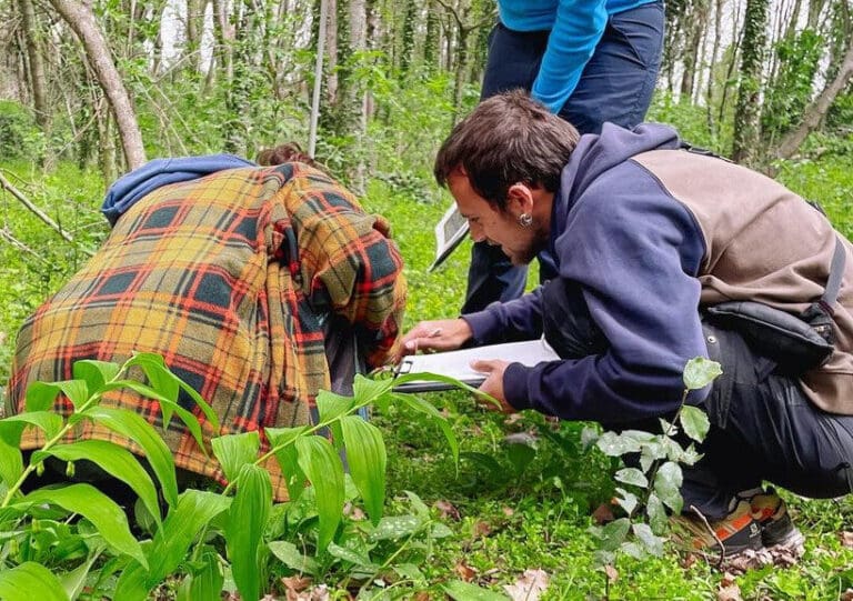 Ecological restoration of the Mas Tarut oak grove