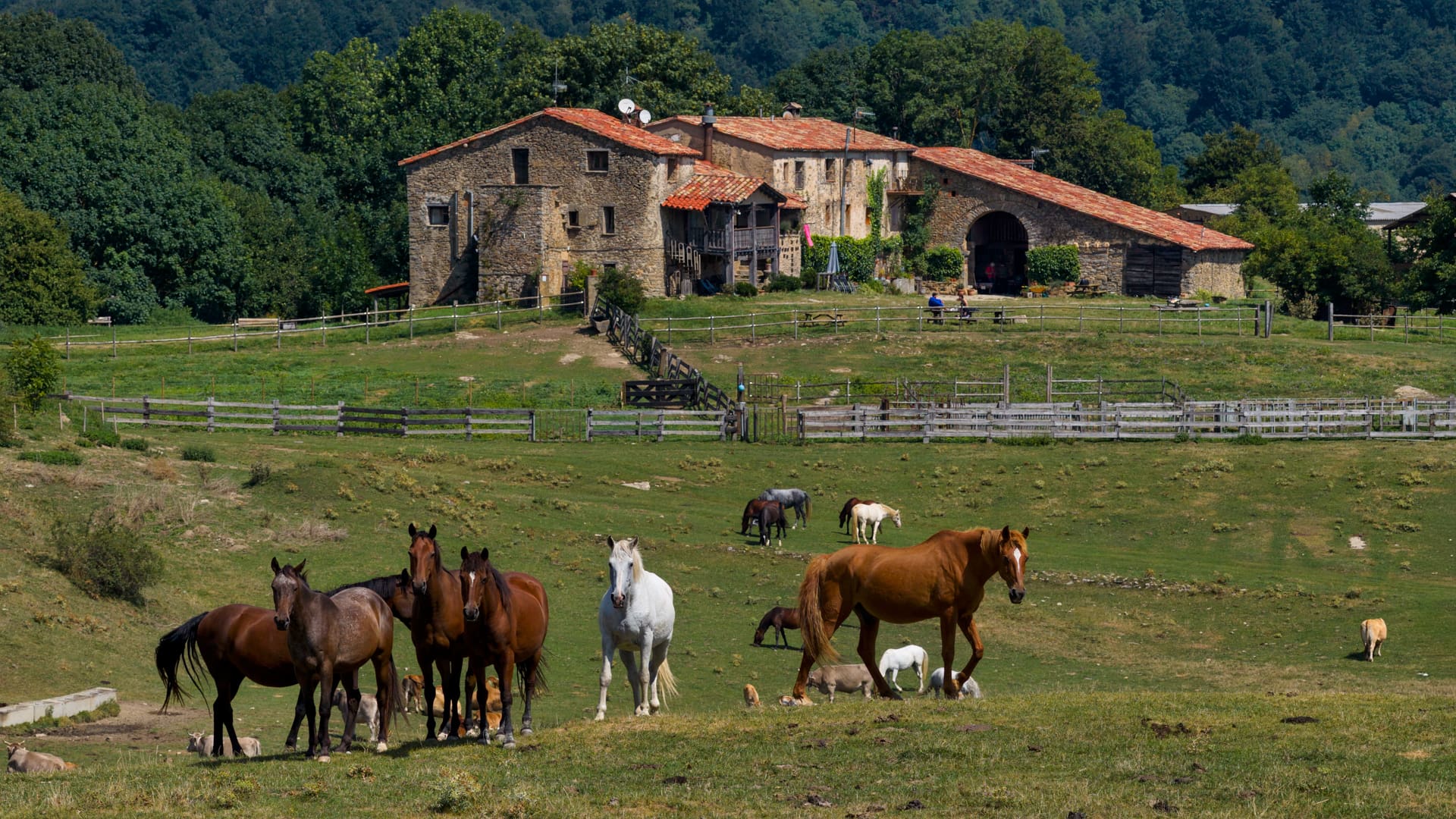 Par le plateau de Collsacabra. Route 4 Garrotxa