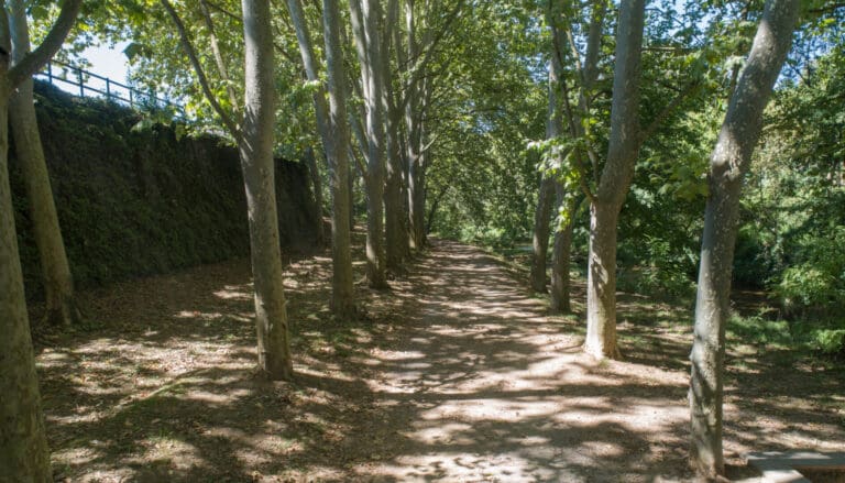 Riverside Circuit 4 Belluga't in Olot