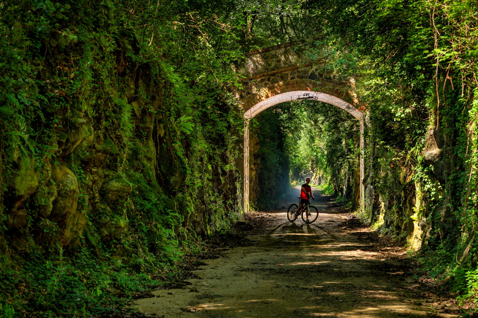 Circuit du Chemin de fer : La voie verte