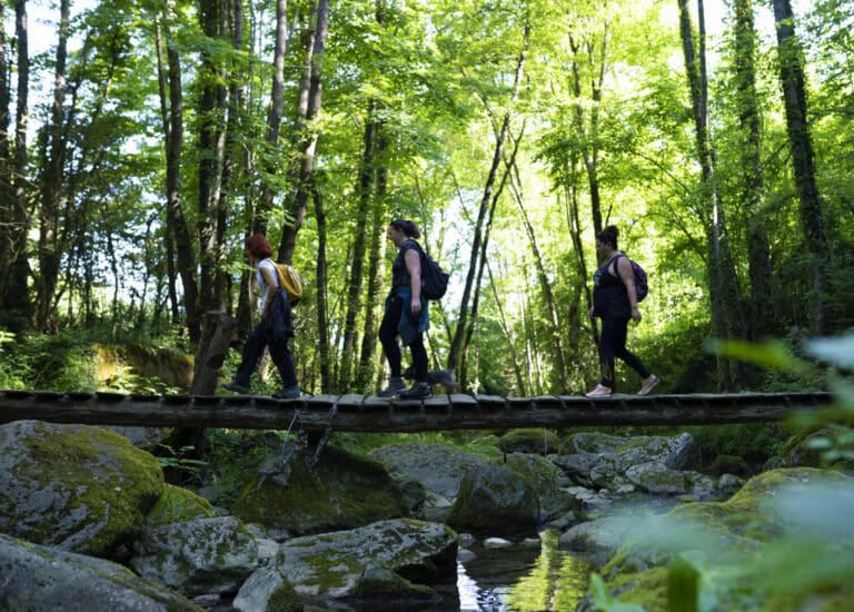 Festival de Randonnée de la Garrotxa – Garrotxa Volcanic Walking