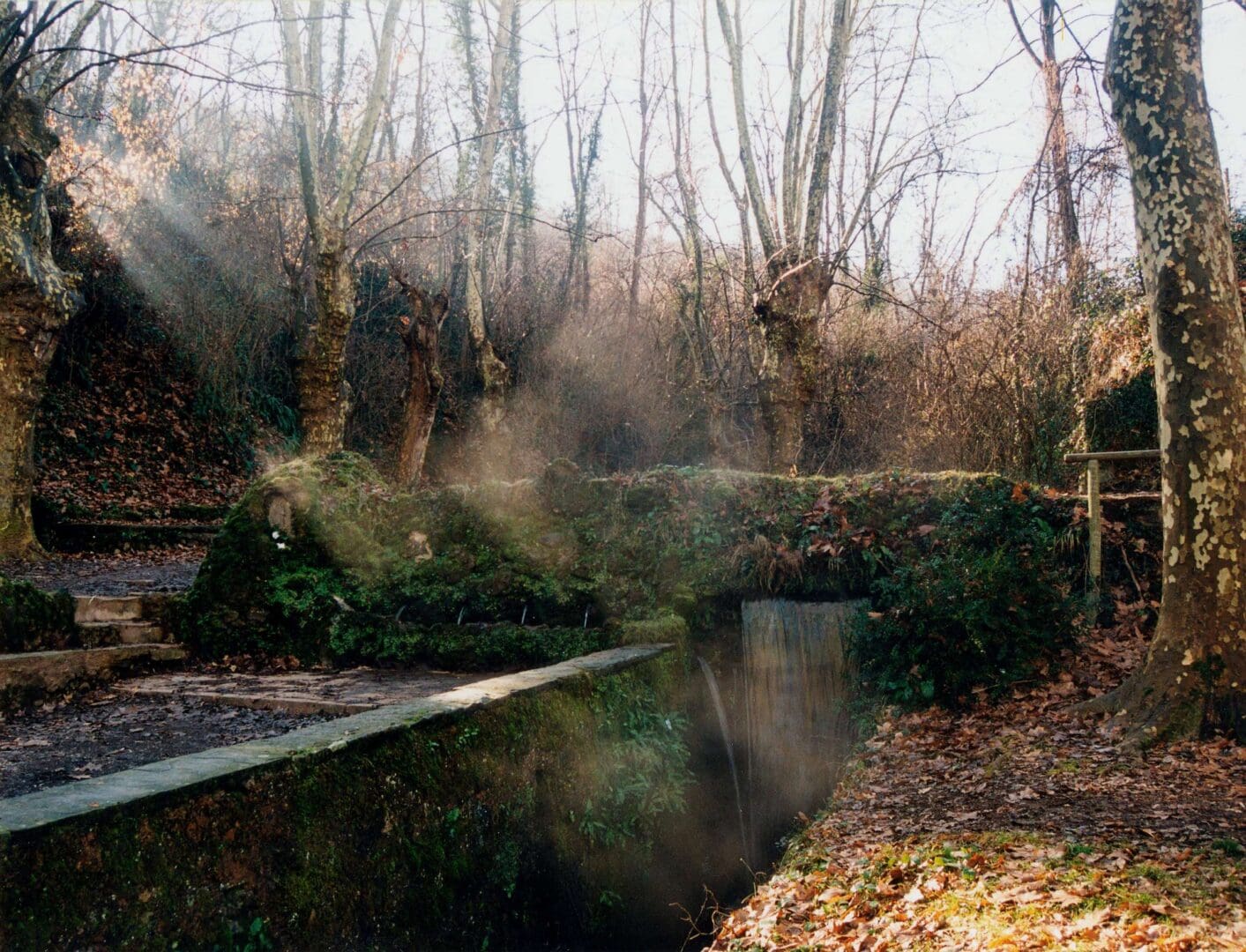 Ruta volcà de les Bisaroques i font de les Tries. Ruta 2 Olot