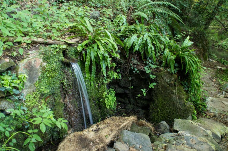 Natural spring route. Route 4 Santa Pau
