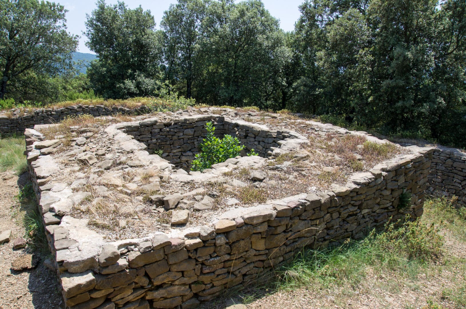El balcó de Mieres. Ruta 1 Mieres