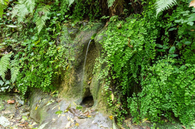 Route des carboners. Route 2 Mieres