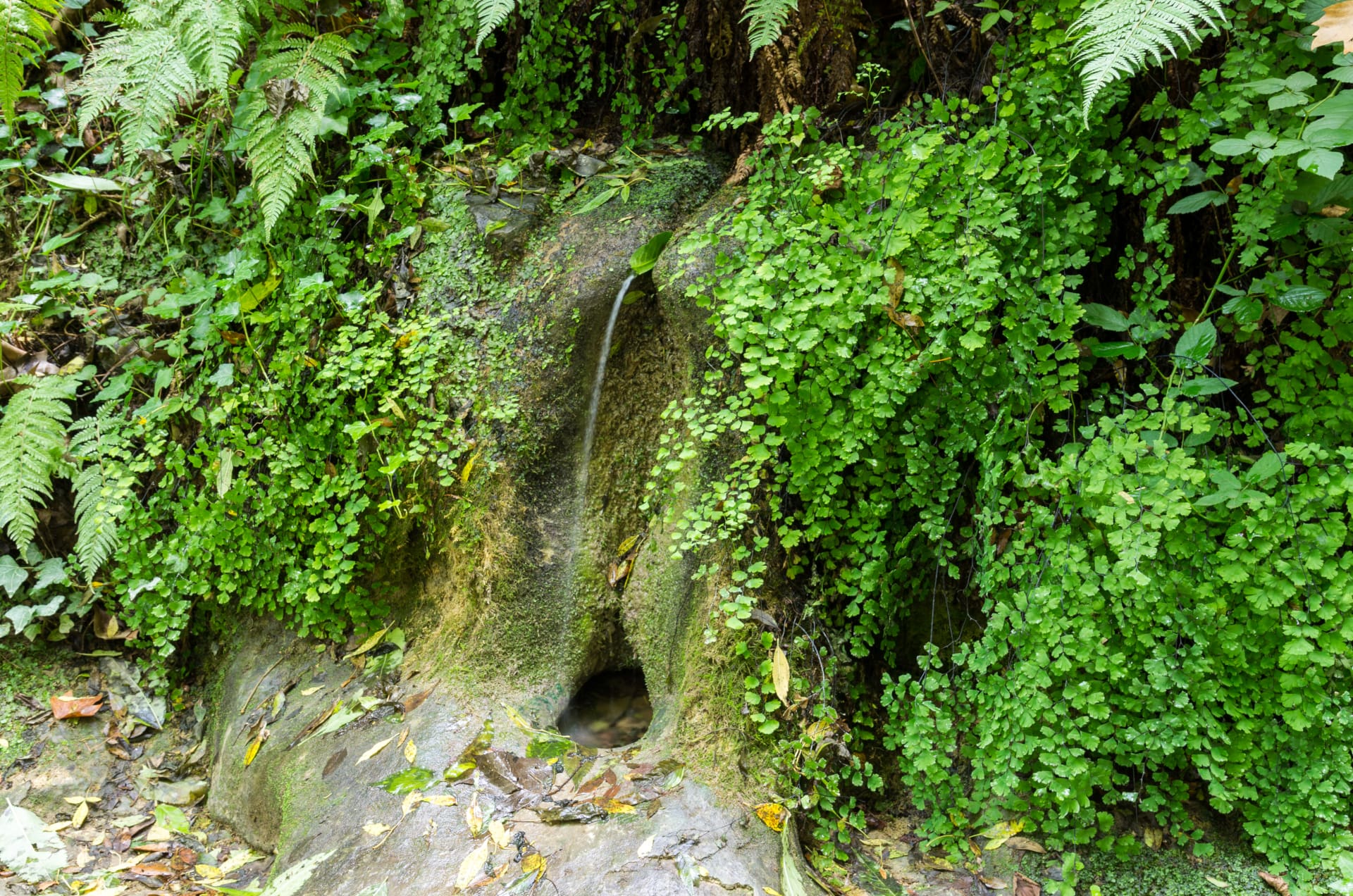 Route des carboners. Route 2 Mieres