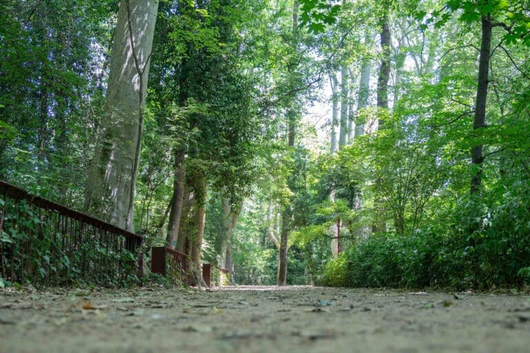 Parc Nou. Circuit 5 Belluga't à Olot.