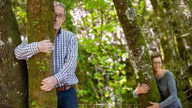 Març: Bany de bosc a l’Alta Garrotxa