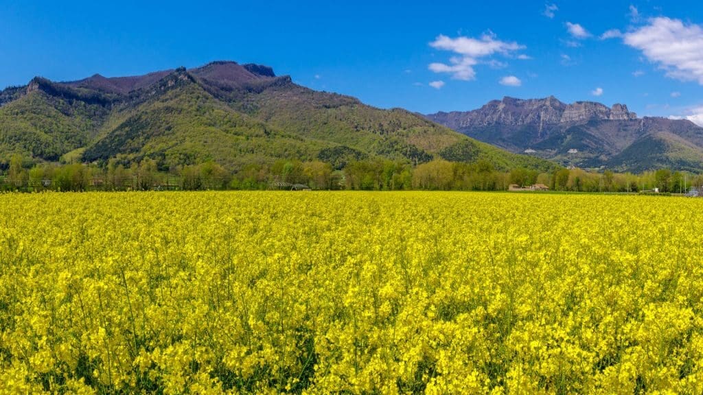Slider Etapa 4. Sant Feliu de Pallerols – La Vall d’en Bas – Les Preses en BTT