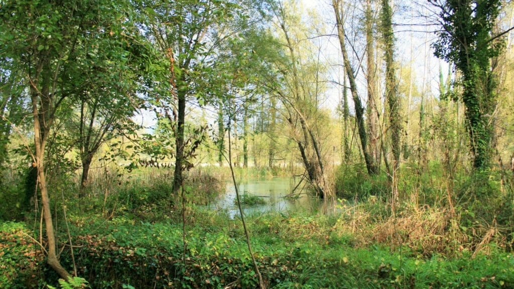 Etapa 5. Les Preses – Olot – La Vall de Bianya