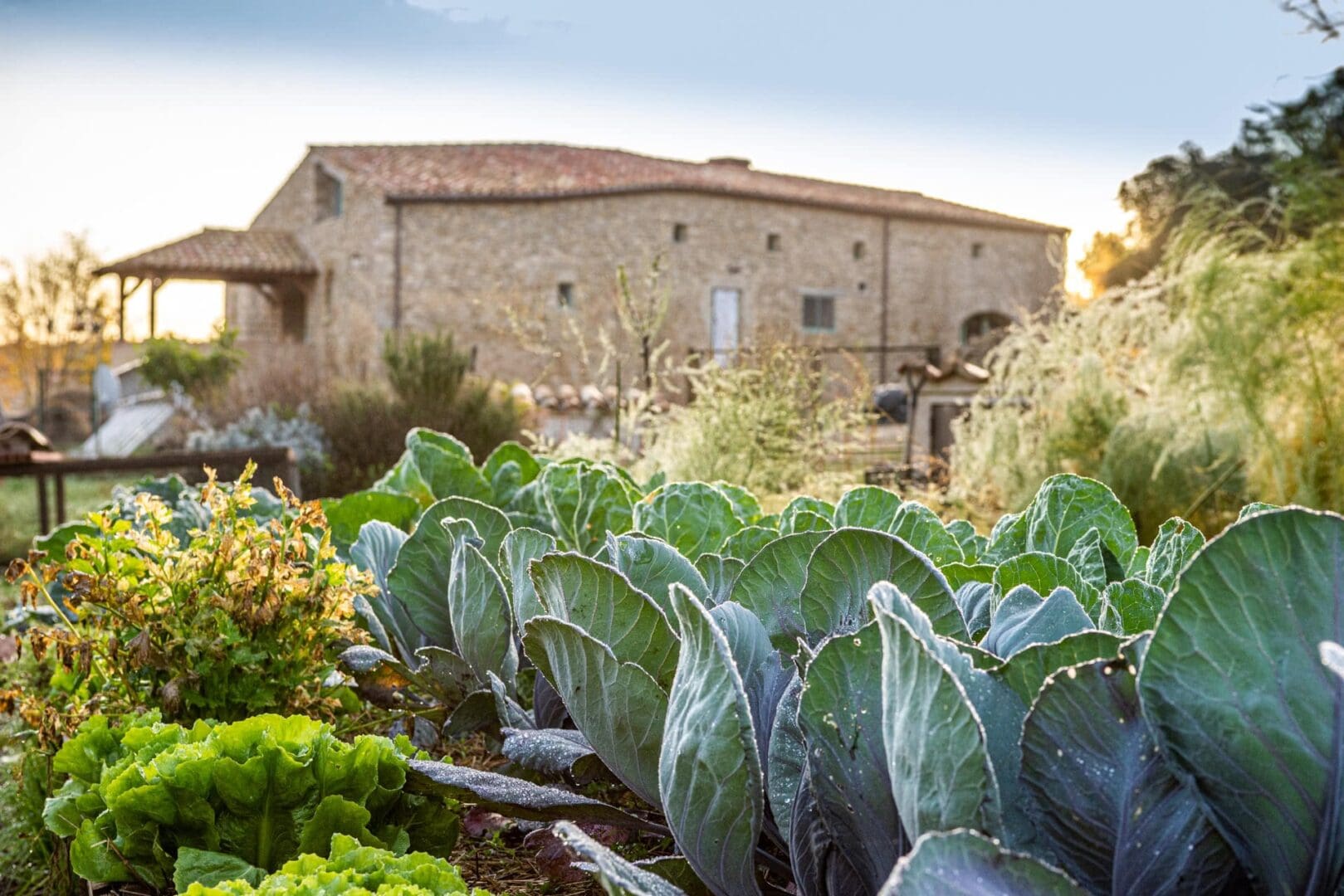 Ecoturisme Can Buch