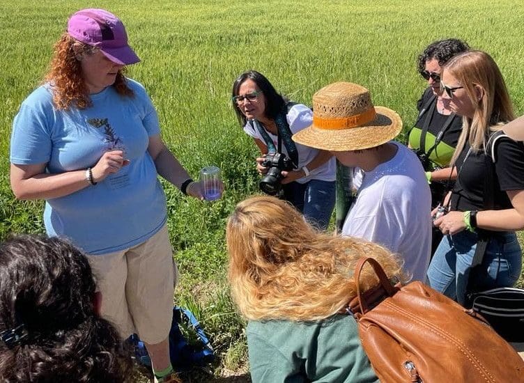Juliol: Les papallones del Parc Natural