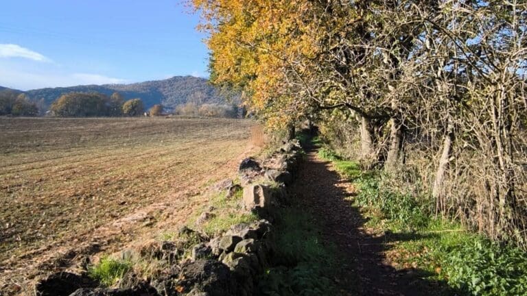 Avril : Faire santé à Olot  
