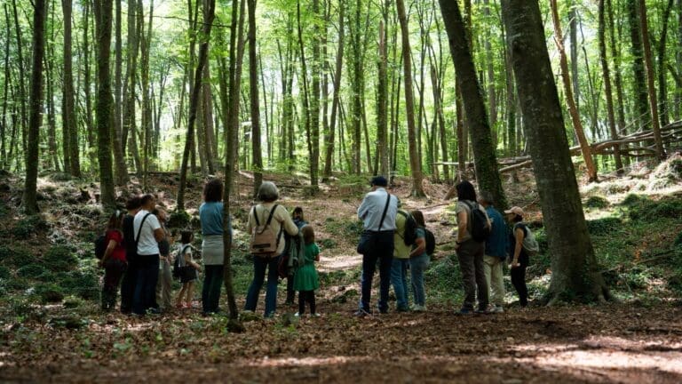 Juin : La Fageda d'en Jordà : une réserve en danger  